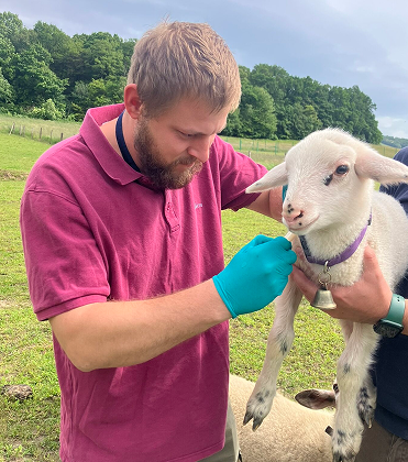Terénny veterinár pre hospodárske zvieratá – kravy, ovce, kozy, ošípané
