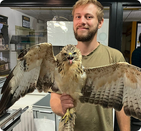 Výjazdový veterinár v teréne – ošetrenie hospodárskych zvierat