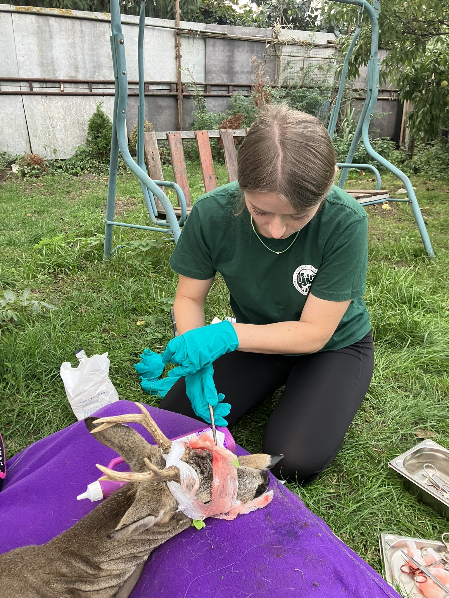 MVDr. Amálie Winklerová – terénna veterinárka, kone, psy, mačky, hospodárske zvieratá
